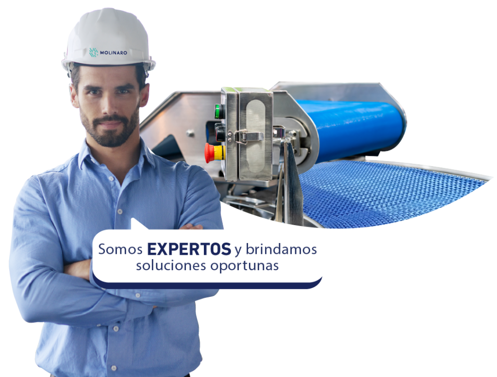 experto-bandas-alimenticias