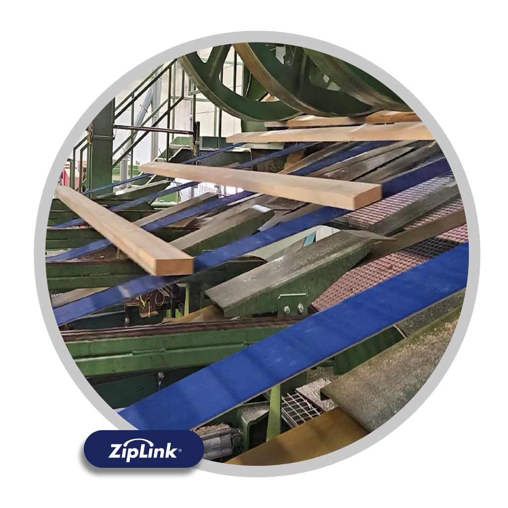 BANDAS ZIPLINK - MOLINARO