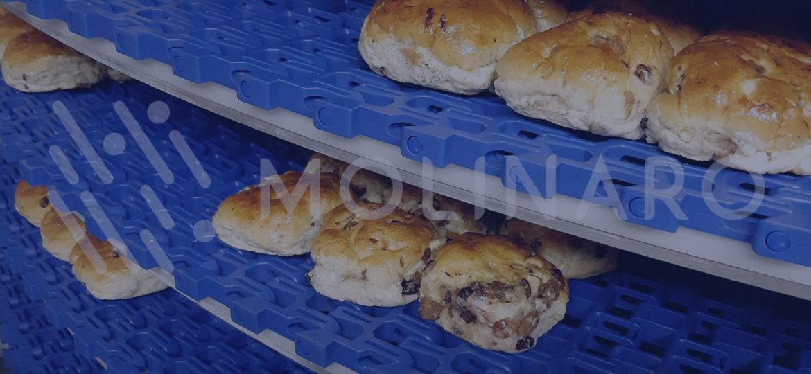banda modular flex