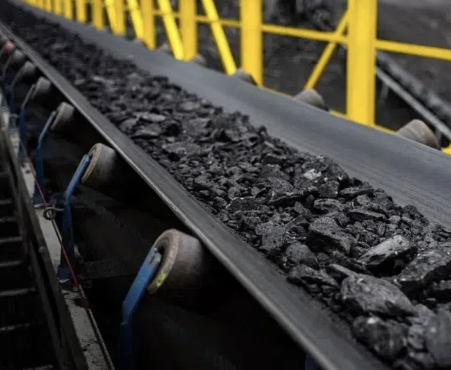 american roller Rodillos American Roller