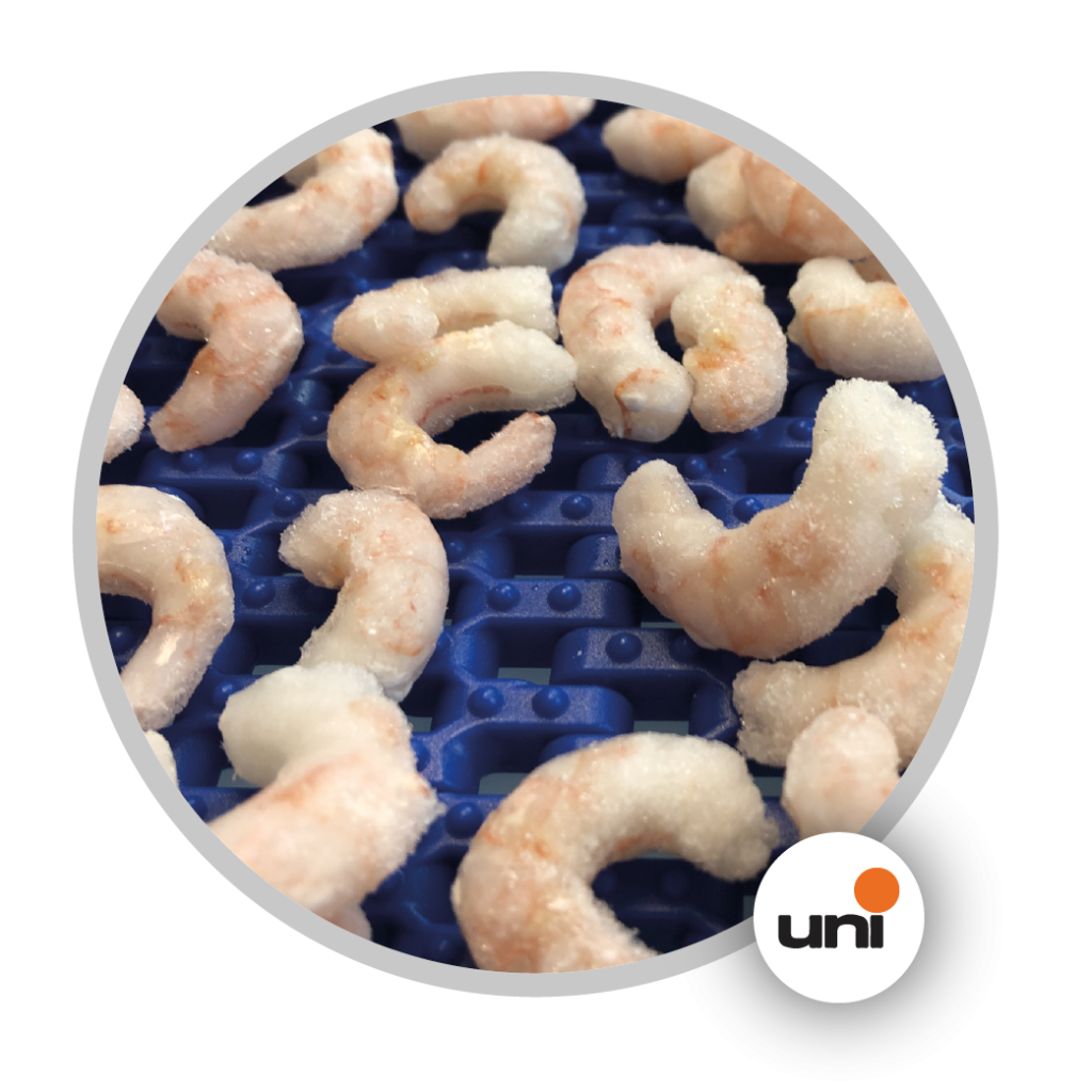 snb - molinaro2 SNB NUB TOP